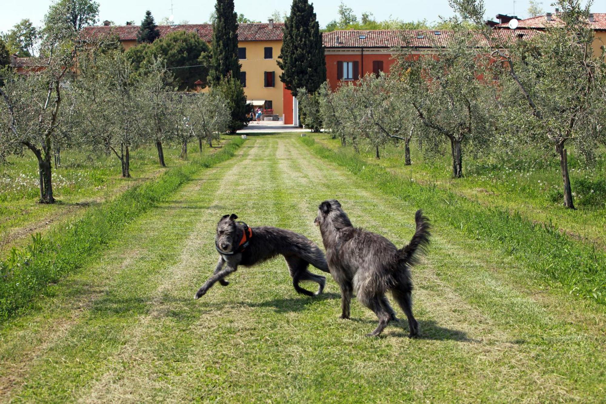 Agriturismo La Filanda Manerba del Garda Eksteriør bilde